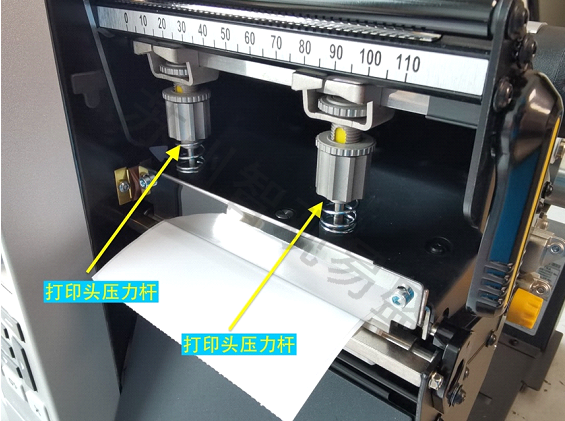 Print head pressure rod