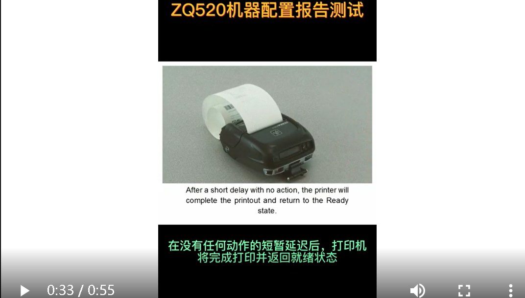 Zebra Zebra ZQ520 mobile printer machine configuration report testing